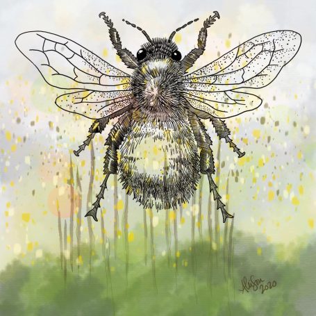 Bee's Knees Image of a bee.