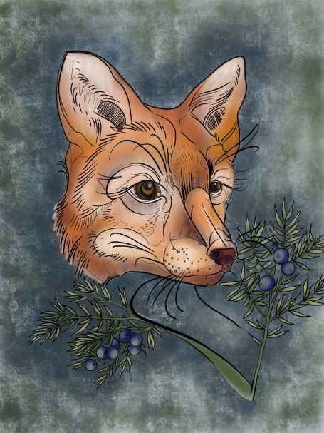 Foxy Image of a fox head on abstract background.